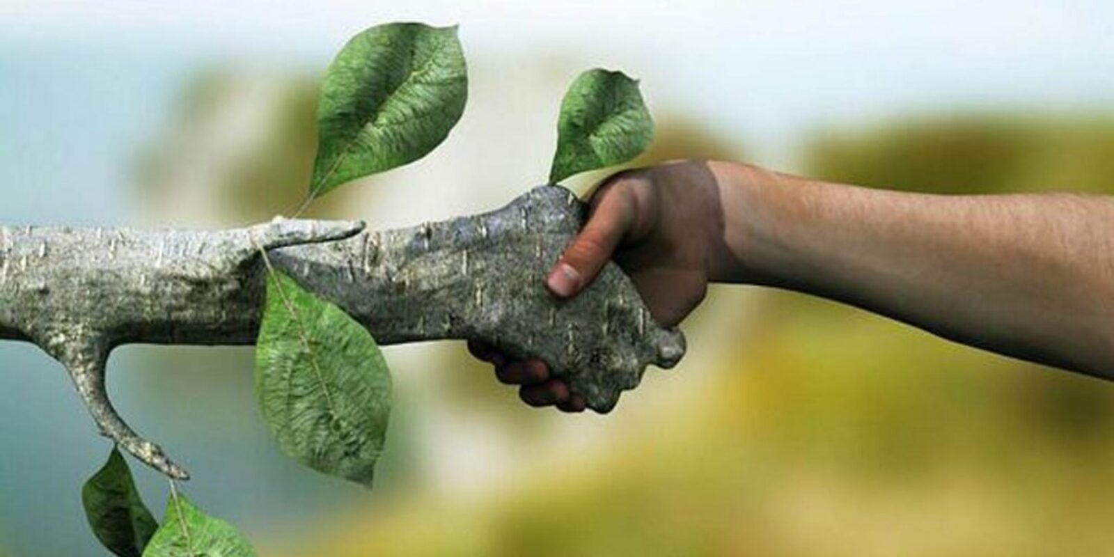 human-and-tree-shaking-hands1200